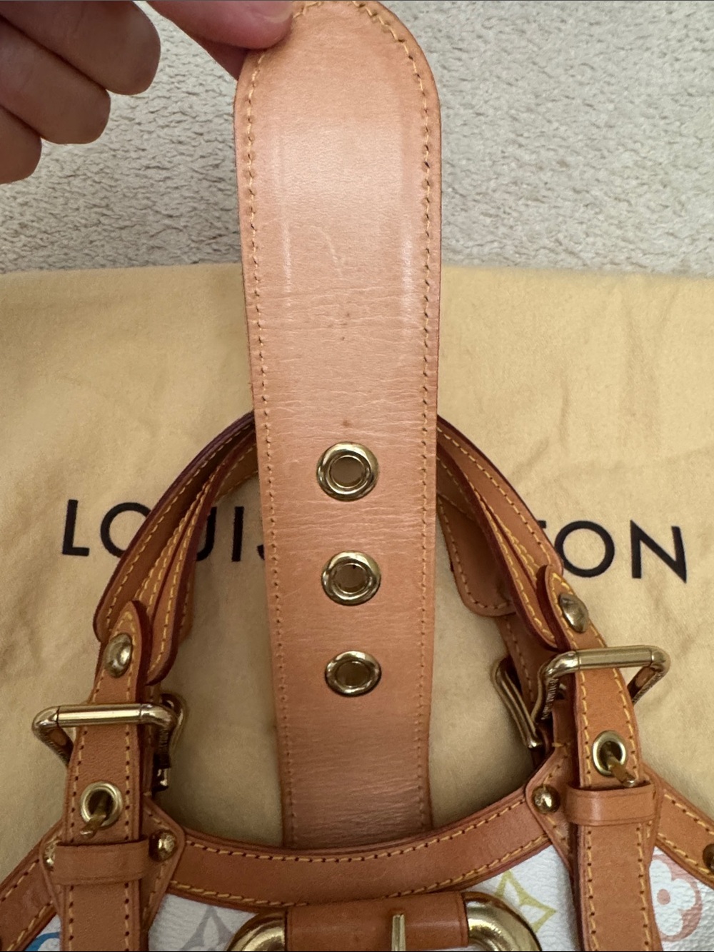 Takashi Murakami X Louis Vuitton White Monogram Multicolore Canvas Theda PM - Picture 5 of 16
